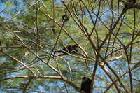  2007-12-10 10.44.08.JPG 